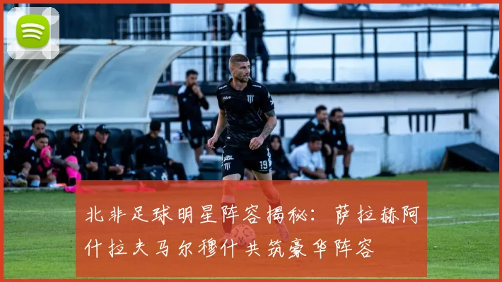 北非足球明星阵容揭秘：萨拉赫阿什拉夫马尔穆什共筑豪华阵容