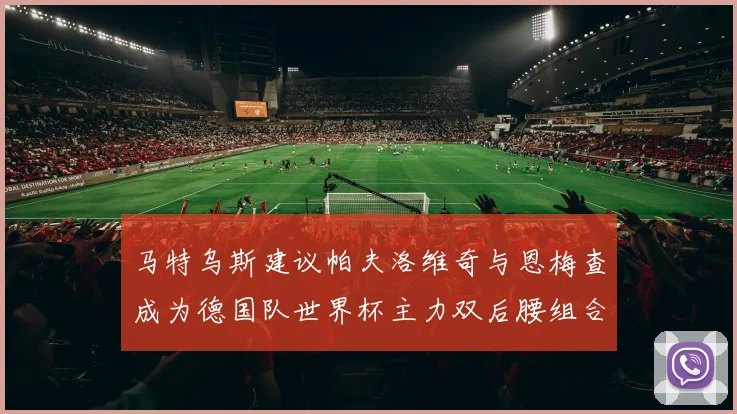 马特乌斯建议帕夫洛维奇与恩梅查成为德国队世界杯主力双后腰组合