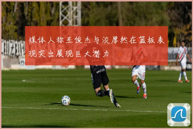 媒体人称王俊杰与淡厚然在篮板表现突出展现巨大潜力