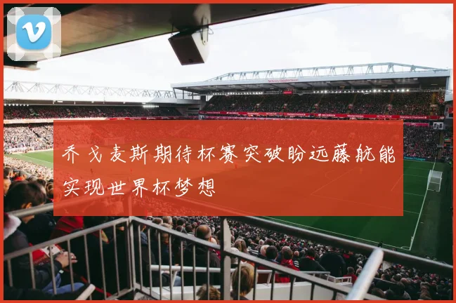 乔戈麦斯期待杯赛突破盼远藤航能实现世界杯梦想