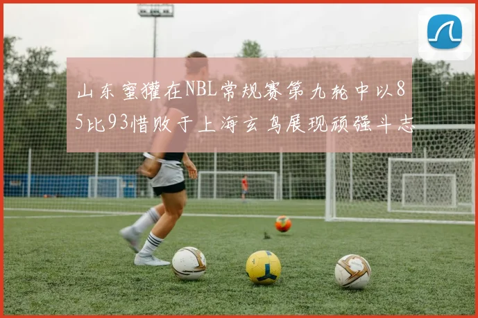 山东蜜獾在NBL常规赛第九轮中以85比93惜败于上海玄鸟展现顽强斗志