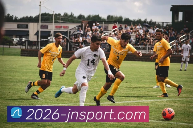 江南体育发展历程